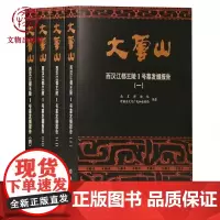 大云山:西汉江都王陵1号墓发掘报告全4册 南京博物院编著 文物出版社出版