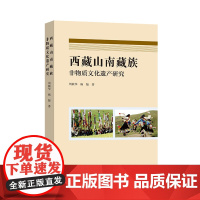 西藏山南藏族--非物质文化遗产研究