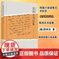 正版 契诃夫书信集 短篇小说选集文学巨匠 俄罗斯文学史 外国欧美文学评论 中国古代随笔文学 安东巴甫洛维奇契诃夫 文艺理