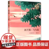 新月集飞鸟集 中小学阅读指导书目 泰戈尔诗集初中阶段外国文学系列文学名著青少年课外阅读参考书籍 正版 上海教育出版社