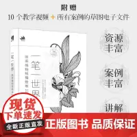 一笔一世界 唯美植物线稿绘制120例 插画教程插画画集画册 线描画册临摹手绘 线描插画书籍插画本手绘