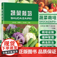 正版蔬菜栽培刘中良编 黄瓜番茄西兰花种植栽培技术蔬菜病虫害防治及安全用药书蔬菜优质生产技术全书蔬菜施肥技术书蔬菜种植书籍