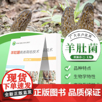 羊肚菌高效栽培技术 乡村振兴战略之乡村人才振兴 裘源春著 中国农业科学出版社 农业栽培种植书籍宝典羊肚菌种植技术大全