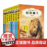 中外动物小说精品·升级版:狗熊/大象/猴子/苍狼/虎啸/狮王/兔王/孤猫(套装共8册)6-8-10-12周岁小学生课外阅
