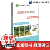 正版高效养蜂实用技术 养蜂书籍大全技术教程 蜜蜂中蜂饲养病虫害防治 蜂蜜生产 蜂群管理 蜜蜂中蜂饲养技术
