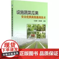 正版设施蔬菜瓜果安全优质高效栽培技术孔亚丽编黄瓜玉米大豆栽培新技术大棚蔬菜种植技术书蔬菜病虫害防治及安全用药蔬菜种植书籍