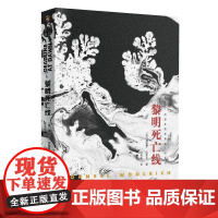 黎明死亡线 侦探推理 恐怖惊悚小说 上海文艺出版社 康奈尔伍里奇黑色悬疑小说系列 悬疑 惊悚 经典翻译 惊悚悬疑