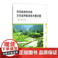 正版西双版纳州水稻品种栽培技术模式图