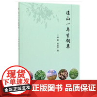 正版凉山一年生饲草