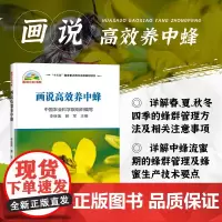 正版画说高效养中蜂 中华蜜蜂 中蜂饲养技术 中蜂病虫害防治技术 蜂群管理 中蜂流蜜期 蜂蜜生产技术 蜂蜜营销模式方法