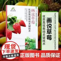 正版画说草莓优质高效栽培关键技术李连国编草莓种植技术大棚草莓种植技术草莓高效生产技术全书草莓病虫害防治新技术草莓种植书籍