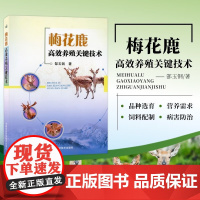 正版书籍 梅花鹿高效养殖关键技术 郜玉钢著梅花鹿的饲养管理以及常见病诊治技术书籍梅花鹿养殖 梅花鹿养殖技术梅花鹿养殖简单