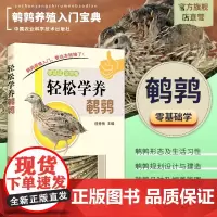 正版轻松学养鹌鹑 蛋用鹌鹑养殖关键技术鹌鹑养殖基本操作技能和关键技术书籍鹌鹑饲料配制饲养管理高效繁殖技术书籍鹌鹑养殖书籍