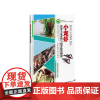 正版小龙虾高效生态养殖与病害防治图谱 乡村振兴之乡村人才技能提升工程系列教材 小龙虾高效养殖技术 小龙虾病虫害防治技术