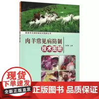 正版 肉羊常见病防制技术图册 肉羊场消毒和疫苗免疫概述 疾病的诊断及防治概述 羊病的简单判断方法 畜禽常见病防制技术图