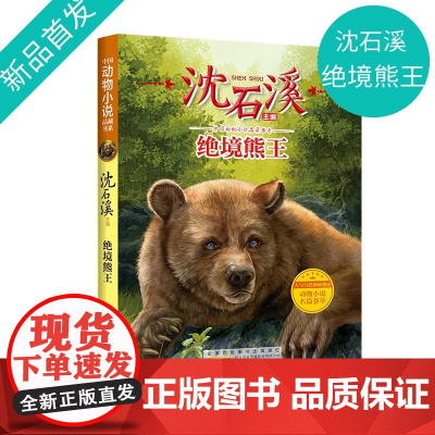 [钟书阁]沈石溪动物小说正版 绝境熊王 小学生三四五六年级课外阅读书籍儿童文学读物经典书目 沈石溪的书全系列书 fb