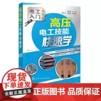 高压电工技能快速学 张伯龙 电工入门 高低电压电工操作技术书籍 电工维修 电工操作 电气设备操作安全培训教材