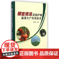 棚室建造及保护地蔬菜生产实用技术朱振华编大棚蔬菜种植技术蔬菜病虫害防治及安全用药蔬菜生产技术全书棚室建造书籍蔬菜种植书籍