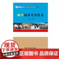 正版肉羊饲养实用技术刁其玉编 高效养肉羊技术肉羊育肥促生长羊病类症鉴别与诊治羊病用药肉羊养殖生产技术全书肉羊养殖技术书籍