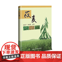 正版莜麦赵宝平编 莜麦种植栽培新技术莜麦高产高效生产技术全书莜麦病虫害防治及安全用药莜麦施肥原理及技术书莜麦种植栽培书籍