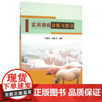 正版图书籍 实用猪病诊断与防治 猪病的病原学 流行病学 临床学 病理学 免疫学 预防医学 兽医 畜牧 养殖 中国农业科