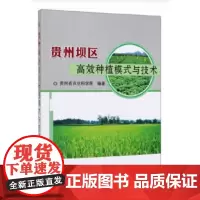 正版贵州坝区高效种植模式与技术