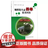 正版规模化生态养羊技术问答 规模化生态羊场建设与设备规模化生态养羊经营管理书籍 羊病防治大全 生态环境与养羊生产技术书籍