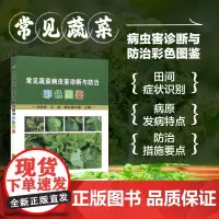 正版常见蔬菜病虫害诊断与防治彩色图鉴 蔬菜种植栽培技术 蔬菜病虫害图谱 中国农业科学技术出版社