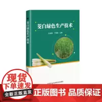 正版茭白绿色生产技术王桂英编 茭白种植技术茭白病虫害防治及安全用药茭白现代加工技术书茭白高产高效生产技术全书茭白种植书籍