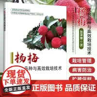正版杨梅优良品种与高效栽培技术 杨梅栽培技术大全 杨梅种植技术 果树种植栽培技术书 农业书籍 种植书籍大全常见病虫害防