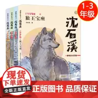 正版[钟书阁]沈石溪故事书全4册王位之争狼王宝座虎狼大战勇者无畏注音动物小说大王系列小学生一二三年级课外阅读书狼王梦 f