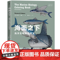 海面之下 海洋生物形态图鉴经典之作 自然科普涂色书 博物君 海洋生物知识普及读物