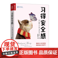 习得安全感 依恋理论童年创伤 打造安全型依恋模式 重建安全基地自我实现 心理咨询案例分析参考图书