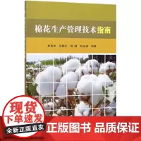正版棉花生产管理技术指南娄善伟棉花栽培种植技术棉田主要病害防治技术棉花种植生产技术全书棉花高产高效种植技术书棉花种植书籍