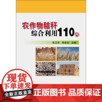 正版农作物秸秆综合利用110问 秸秆还田技术 秸秆发电技术 秸秆利用技术 秸秆固化成型技术 秸秆汽化技术 秸秆沼气技术