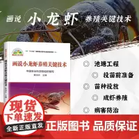 正版画说小龙虾养殖关键技术黄鸿兵编小龙虾高效养殖技术小龙虾饲料配制育肥促生长小龙虾疾病防治及安全用药小龙虾养殖技术书籍