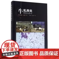 正版牛乳房炎研究与诊疗 (英)安德鲁·比格斯(Andrew Biggs) 动物医学 兽医书籍大全 畜牧业牛养殖场兽医大夫