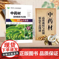 正版中药材高效栽培与识别原色生态图谱薛乐平编 中药材种植技术中药材图谱大全书中药材病虫害防治及安全用药书中药材种植书籍