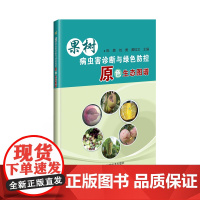 正版果树病虫害诊断与绿色防控原色生态图谱陈勇编 梨葡萄苹果桃子病虫害诊断与防治书果树病虫害防治及安全用药书果树种植书籍