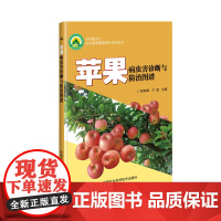 正版苹果病虫害诊断与防治图谱苹果病虫害防治及安全用药苹果病虫害图谱与防治百科苹果种植技术苹果高产高效栽培技术苹果种植书籍