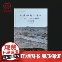 新疆拜其尔墓地——2004~2005年度发掘报告 文物出版社店