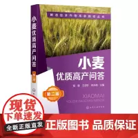 小麦优质高产问答 杨雄 王迪轩 何永梅 粮油经济作物高效栽培丛书 第2二版 小麦高效栽培种植技术大全 科学种植小麦书籍