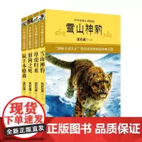 全套4册 沈石溪中外动物小说精品第三辑下 动物小说大王 雪山神豹 鼠王本格森 6-9-12岁少年儿童文学成长故事小学生课