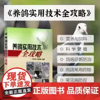正版养鸽实用技术全攻略 仲学峰 肉鸽的品种与繁育 营养需要与日粮配制 饲养管理 鸽药药理知识 鸽病临床诊断技术肉鸽养殖技