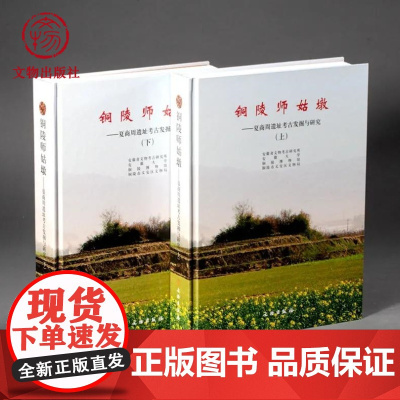 铜陵师姑墩——夏商周遗址考古发掘与研究(全两册) 文物出版社店