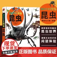 MOVE图鉴昆虫浪花朵朵童书日本社编昆虫大百科全书昆虫小学生暑假期课外阅读科普读物儿童版大百科绘本dk昆虫书科普书籍