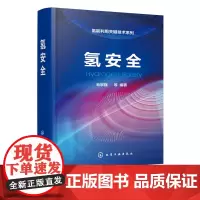 氢能利用关键技术系列 氢安全 毛宗强 氢安全基础知识书籍 氢气利用过程中的安全原理策略 氢制取储运应用和氢能基础设施