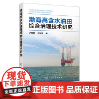 渤海高含水油田综合治理技术研究 卢祥国 刘义刚 石油开发技术管理油田生产石油院校专业师生读物 油田开发 物理化学高分子材