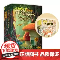 冈田淳梦幻森林系列全5册 神奇的树果+深夜魔法师的秘密+森林里的海盗船+梦幻樱花树下+音乐剧调料(全5册)