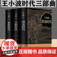 赠藏书票 正版 王小波时代三部曲 黄金时代+白银时代+黑铁时代全套共3册王小波作品集全集王小波的书现当代文学散文随笔